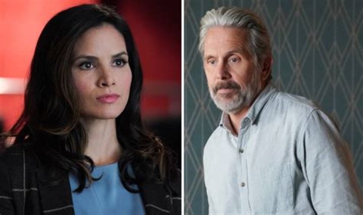 Another Familial Face Is Dropping by 'NCIS' — Who Plays Vance's Daughter Kayla?