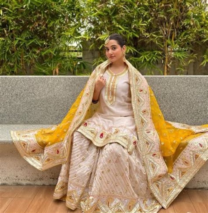 Asfi Javed Net Worth