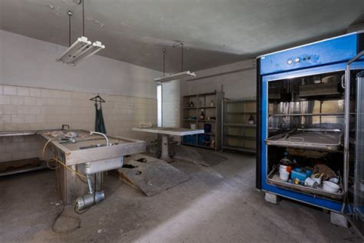 How Old Is Morgue Worker?