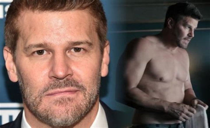 Is David Boreanaz Gay Rumors True? Shirtless Photo