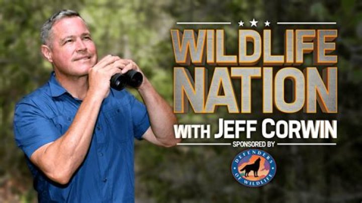 Jeff Corwin Net Worth 2024