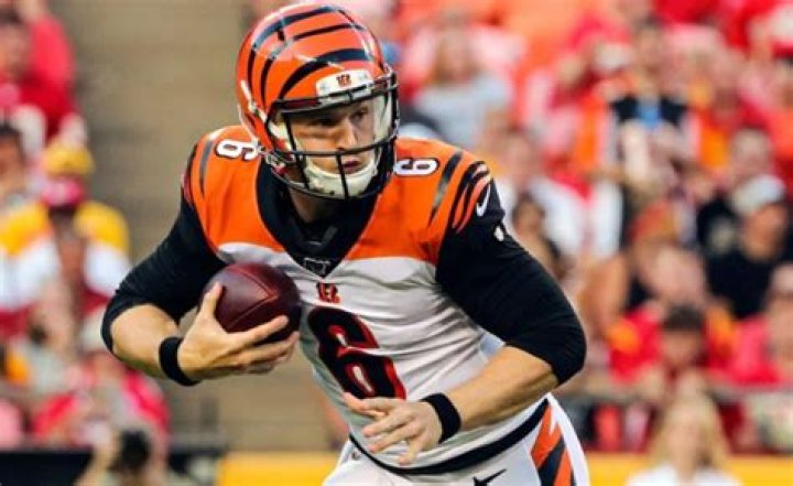 Jeff Driskel Biography