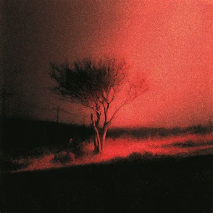 Lyrics & Translations of Demons by Joji