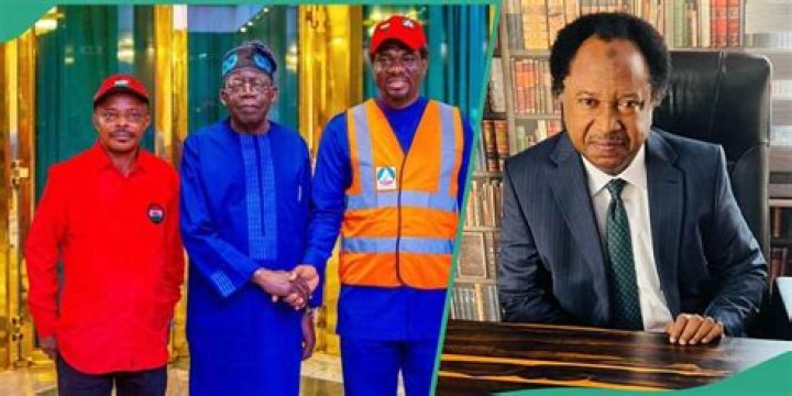 Shehu Sani Reacts As NLC Suspends Minimum Wage Strike for 5 Days: “Half Is Better Than None”