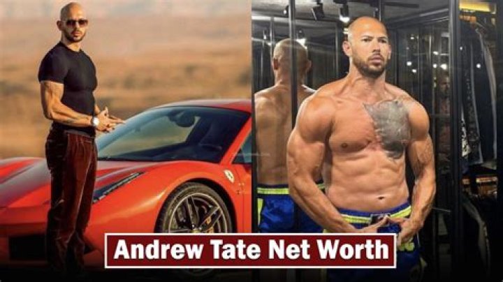 Steve Tate Net Worth