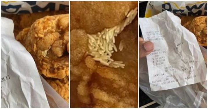 “Super Unsatisfying and Unsanitary!” — Woman Finds Fly Eggs on Her Church’s Chicken Order