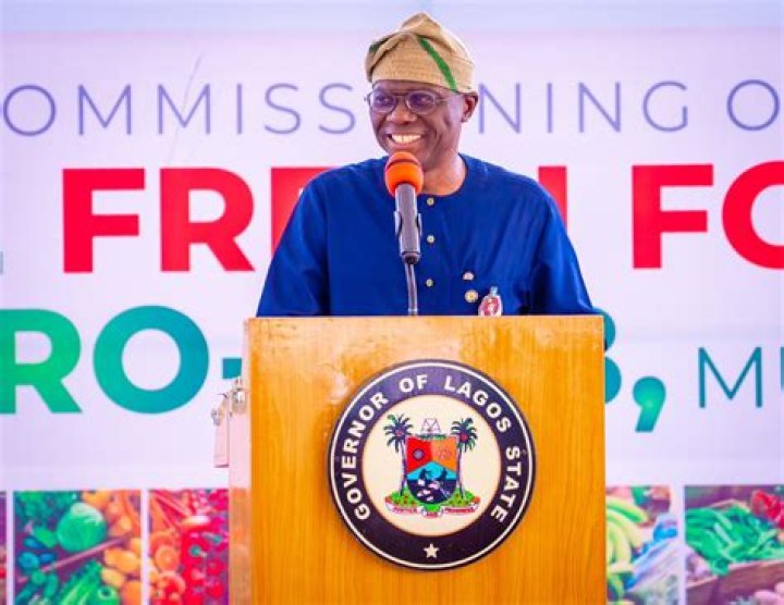 Tomori Williams: IGP, DSS, NSA, Gov Sanwo-Olu Petitioned Against Excesses of Alleged Land Grabber