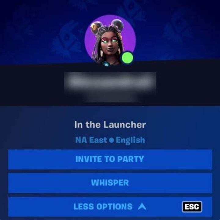 What does in the launcher mean in fortnite